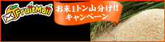 フルーツメール